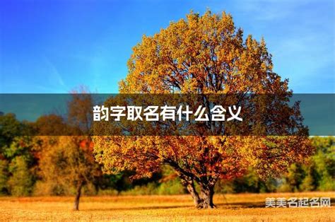 韻名字意思|韵字取名有什么含义，用来女孩取名字